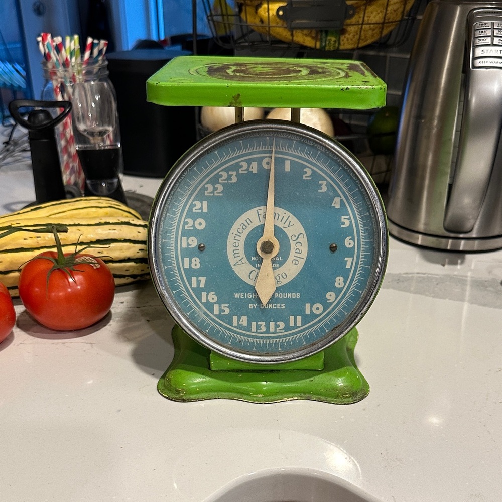 Rare VINTAGE American Family Kitchen Scale - up to 25lbs